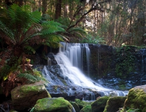 Horseshoe Falls